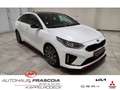 Kia ProCeed / pro_cee'd GT 1.6 T-GDI DCT Navi ACC PDC LED El. Pano. Dach A Bianco - thumbnail 3