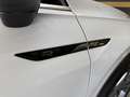 Volkswagen Tiguan 2.0TDI R-Line DSG 110kW Blanco - thumbnail 20