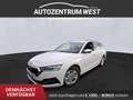 Skoda Octavia Combi 2,0 TDI Ambition DSG...Navi/Led/Sitzheizung Weiß - thumbnail 1