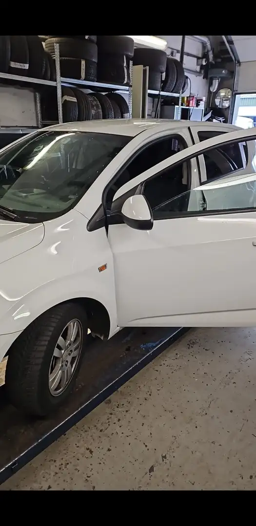 Chevrolet Aveo 1.3D LT Белый - 1