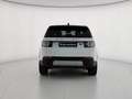 Land Rover Discovery Sport 2.0 td4 HSE awd 150cv auto + AUTOCARRO + (Br) Weiß - thumbnail 5