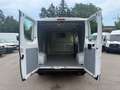 Fiat Ducato 33 120 L2H1 KLIMA STHDZ AHK 1HAND EURO6 Weiß - thumbnail 19