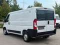 Fiat Ducato 33 120 L2H1 KLIMA STHDZ AHK 1HAND EURO6 Weiß - thumbnail 7
