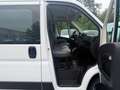 Fiat Ducato 33 120 L2H1 KLIMA STHDZ AHK 1HAND EURO6 Weiß - thumbnail 9