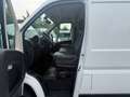 Fiat Ducato 33 120 L2H1 KLIMA STHDZ AHK 1HAND EURO6 Weiß - thumbnail 8
