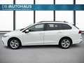 Volkswagen Golf Life 1.5 TSI Weiß - thumbnail 7