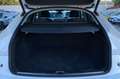 Audi Q5 SPB Advanced 2.0 TDI 204CV s-tronic mhev quattro Blanc - thumbnail 14