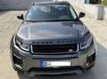 Land Rover Range Rover Evoque Diesel  5-Türer TD4 Aut. Black-Edition Grau - thumbnail 8