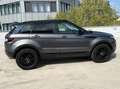 Land Rover Range Rover Evoque Diesel  5-Türer TD4 Aut. Black-Edition Grau - thumbnail 2