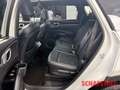 Kia Sorento 2.2 CRDI AWD Platinum Panorama Nappaleder Weiß - thumbnail 15