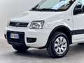 Fiat Panda 1.2 4X4 CLIMBING Blanc - thumbnail 5
