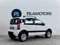 Fiat Panda 1.2 4X4 CLIMBING Blanc - thumbnail 2