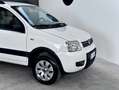 Fiat Panda 1.2 4X4 CLIMBING Blanc - thumbnail 11