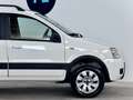 Fiat Panda 1.2 4X4 CLIMBING Blanc - thumbnail 8