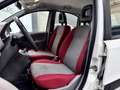 Fiat Panda 1.2 4X4 CLIMBING Blanc - thumbnail 4