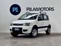 Fiat Panda 1.2 4X4 CLIMBING Blanc - thumbnail 1