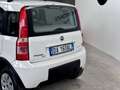 Fiat Panda 1.2 4X4 CLIMBING Blanc - thumbnail 6