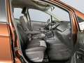 Ford EcoSport 1.5 Ti-VCT TREND *hzb.Front*Sitzhz* Gold - thumbnail 21