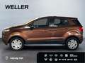 Ford EcoSport 1.5 Ti-VCT TREND *hzb.Front*Sitzhz* Gold - thumbnail 5