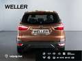 Ford EcoSport 1.5 Ti-VCT TREND *hzb.Front*Sitzhz* Gold - thumbnail 6