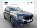 BMW X5 xDrive30d M Sportpaket Head-Up HiFi DAB WLAN Gris - thumbnail 9
