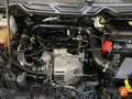Ford EcoSport 1.0 EcoBoost 125cv Titanium Wit - thumbnail 23