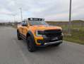 Ford Ranger Ranger Wildtrak e-4WD 2.3 Aut. El. Rollo - 5 Ja... Orange - thumbnail 3