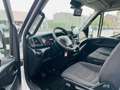 Iveco Daily 35 C Wit - thumbnail 5