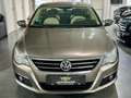 Volkswagen CC Passat CC,TSI,Sport,DSG,AHK,PDC,Voll,TOP Brun - thumbnail 2