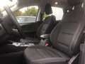 Ford Kuga EcoBlue ST-Line AUT - thumbnail 11