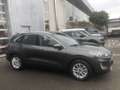 Ford Kuga EcoBlue ST-Line AUT - thumbnail 7