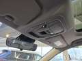 GWM HAVAL Jolion Pro 1.5 Turbo 7G-DCT Premium Pano App-Navi Kamera LED Weiß - thumbnail 21