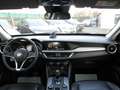 Alfa Romeo Stelvio Stelvio 2.2D 210CV Q4 AT8 AWD 110000KM Gris - thumbnail 12