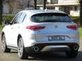 Alfa Romeo Stelvio Stelvio 2.2D 210CV Q4 AT8 AWD 110000KM Gris - thumbnail 6