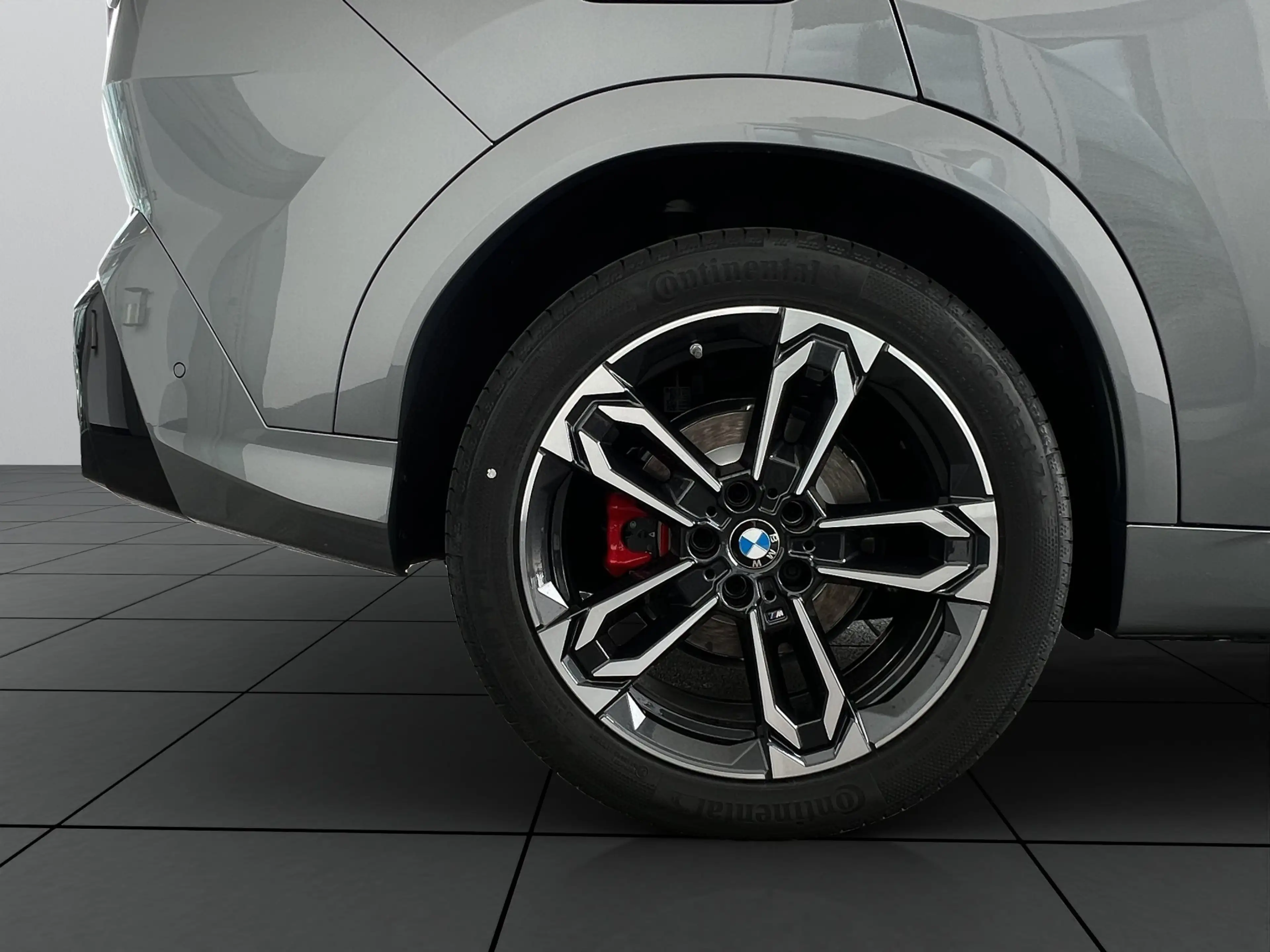 BMW iX2 xDrive30 M Sport + Pro NAVI LED PANO AHK HUD — photo 5