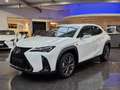 Lexus UX 300e UX 300h F Sport Design ACC FLA SpurH LM Weiß - thumbnail 1