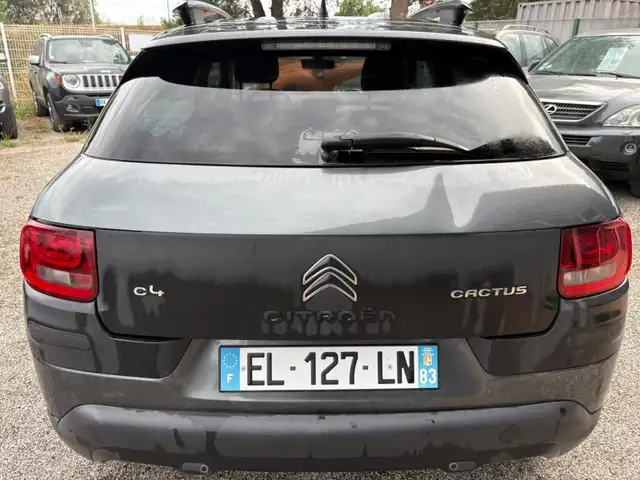 Citroen C4 Cactus view 4