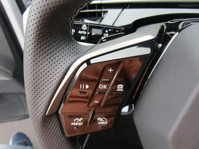 Peugeot 5008 PHEV 1956 e-DCS7 GT Aut. Ansicht 12