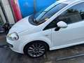 Fiat Punto Evo Punto III 2010 Evo 3p 1.6 MultiJet Sport 120CV DPF Blanc - thumbnail 2