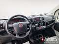 Fiat Ducato 33 2.0 MJT PM-TM Furgone  +IVA bijela - thumbnail 11