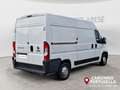 Fiat Ducato 33 2.0 MJT PM-TM Furgone  +IVA bijela - thumbnail 5