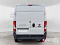 Fiat Ducato 33 2.0 MJT PM-TM Furgone  +IVA bijela - thumbnail 14