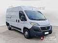 Fiat Ducato 33 2.0 MJT PM-TM Furgone  +IVA bijela - thumbnail 3