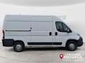 Fiat Ducato 33 2.0 MJT PM-TM Furgone  +IVA bijela - thumbnail 6