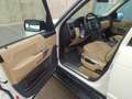 Land Rover Range Rover Range Rover 4.4 V8 Vogue Aut. Vogue Blanco - thumbnail 15