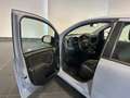 Fiat New Panda Panda 1.2  NEOPATENTATI 69CV GARANZIA P.CONSEGNA Grigio - thumbnail 10
