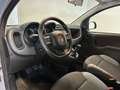 Fiat New Panda Panda 1.2  NEOPATENTATI 69CV GARANZIA P.CONSEGNA Grigio - thumbnail 11
