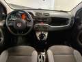Fiat New Panda Panda 1.2  NEOPATENTATI 69CV GARANZIA P.CONSEGNA Grigio - thumbnail 14