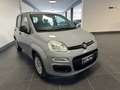 Fiat New Panda Panda 1.2  NEOPATENTATI 69CV GARANZIA P.CONSEGNA Grigio - thumbnail 4
