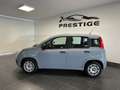 Fiat New Panda Panda 1.2  NEOPATENTATI 69CV GARANZIA P.CONSEGNA Grigio - thumbnail 6